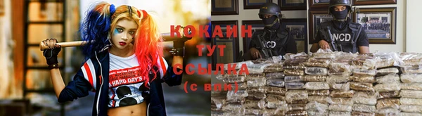 метадон Алзамай