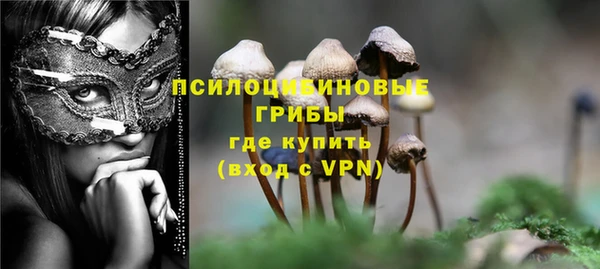 бошки Алексин