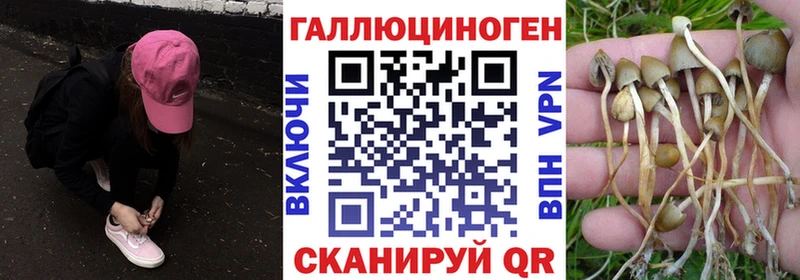 Купить закладки  Великий Устюг  Галлюциногенные грибы MAGIC MUSHROOMS 